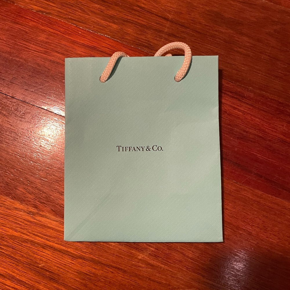 Tiffany & Co. Aqua Shopping Bag